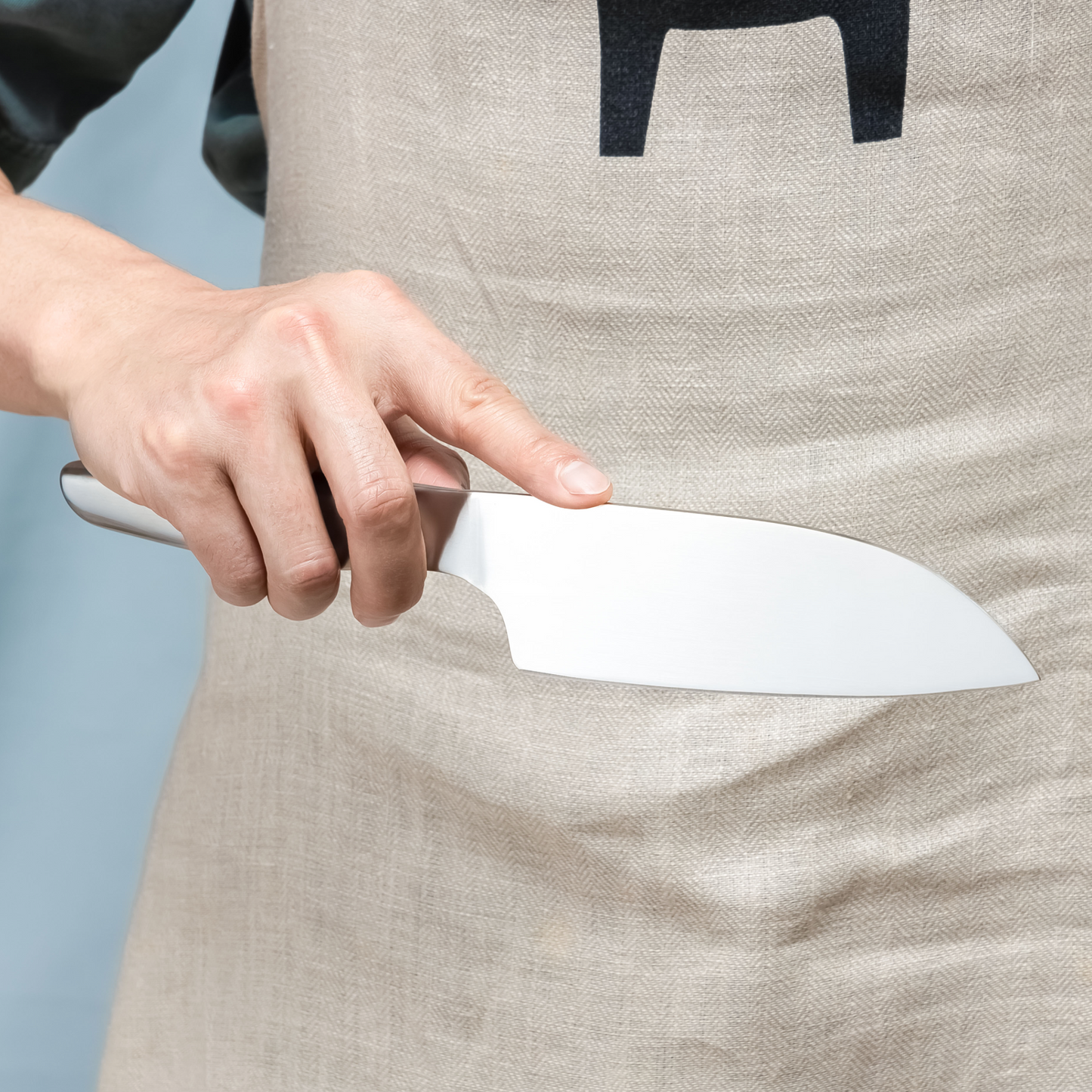 Hast Selection 6.3 Inch Japanese Carbon Steel Santoku Knife