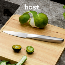 Load image into Gallery viewer, Hast Selection series 2-piece Japanese Steel Knife Set
