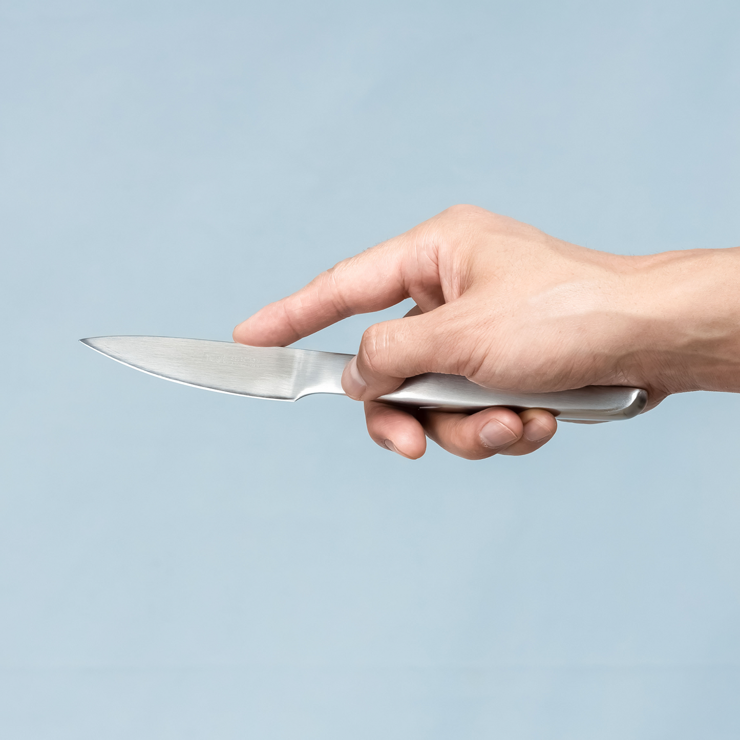 Hast Selection Japanese Carbon Steel 3.5” Paring Knife